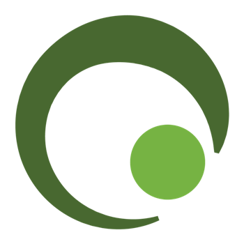 Icon - Rocking and Rolling to Release 2020